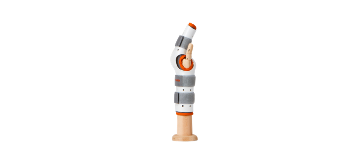 Radial Gutter Splint: Anatomical and Muscle Support Overview