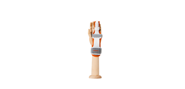 Finger Splint Muscle Support and Anatomical Key Points