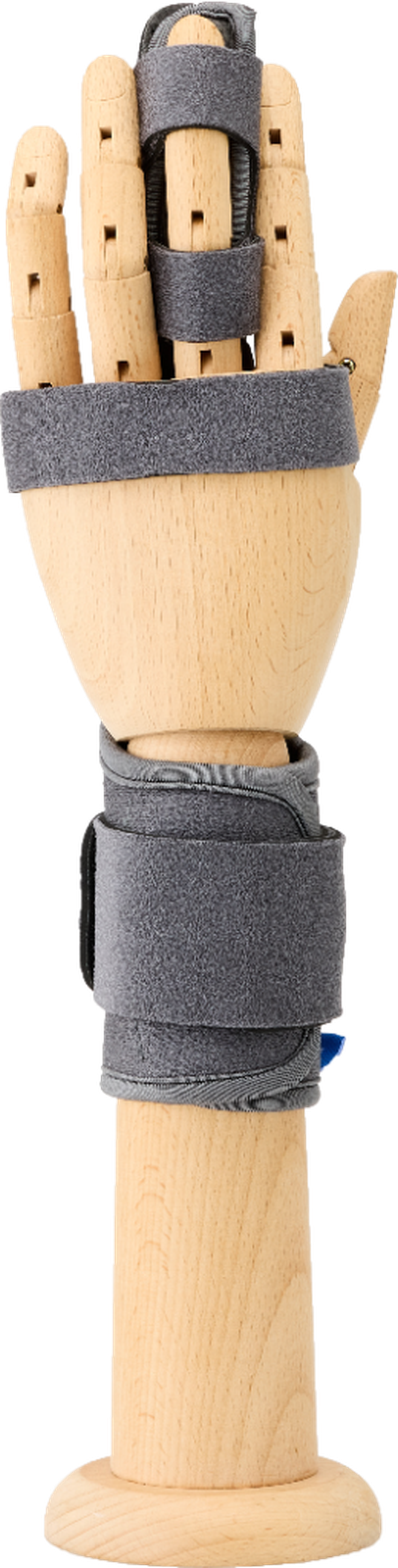 Short Arm - Finger
